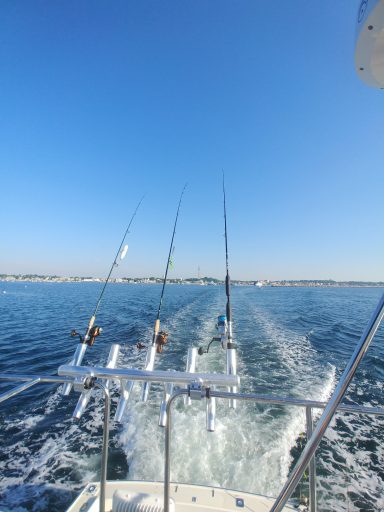 Cape Cod, Massachusetts, US