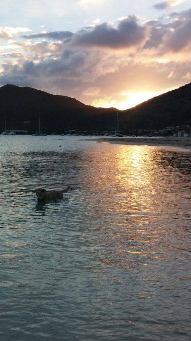Pinel Island, Caribbean